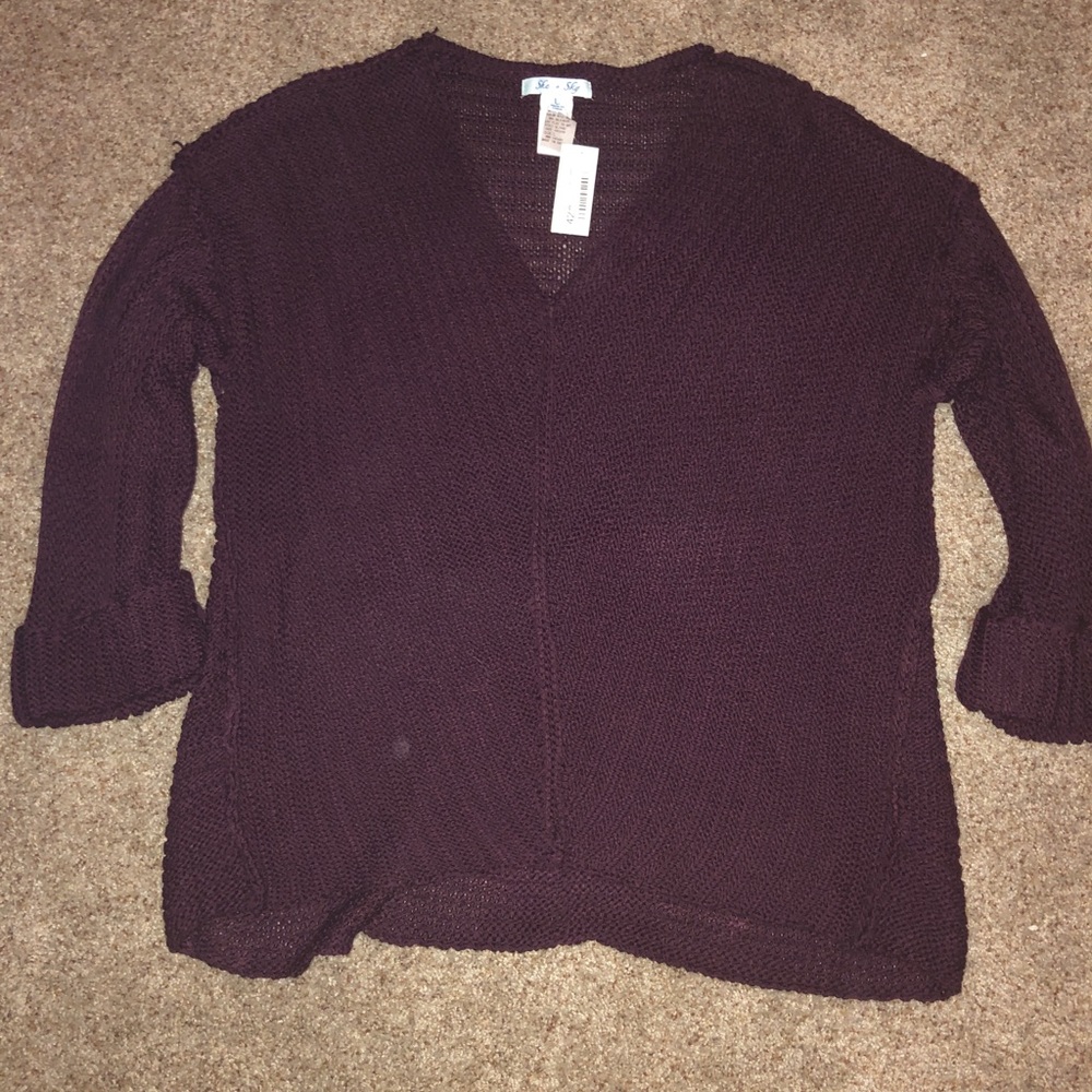 Plum sweater NWT